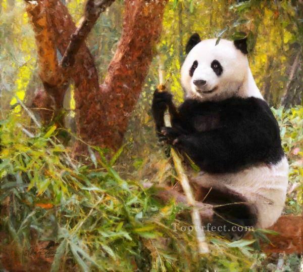 panda bear alice schear animals Oil Paintings
